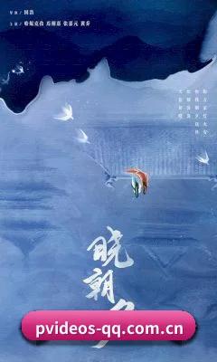 p站视频 APP